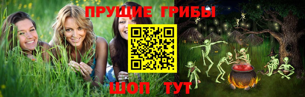 Псилоцибиновые грибы Cubensis Междуреченск